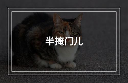 半掩门儿