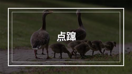 点蹿