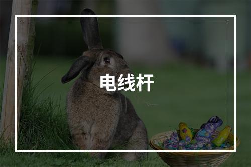 电线杆