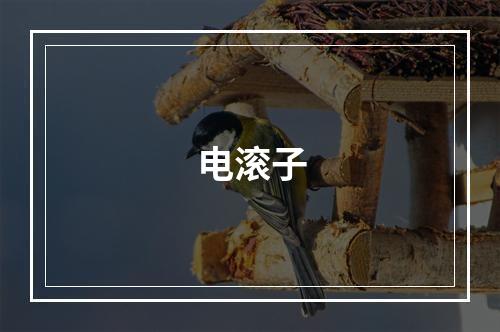 电滚子