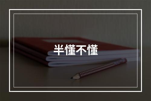 半懂不懂