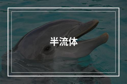半流体