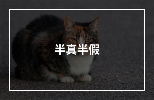 半真半假