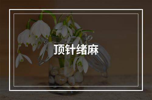 顶针绪麻