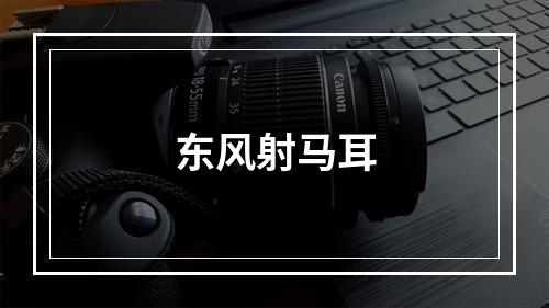 东风射马耳