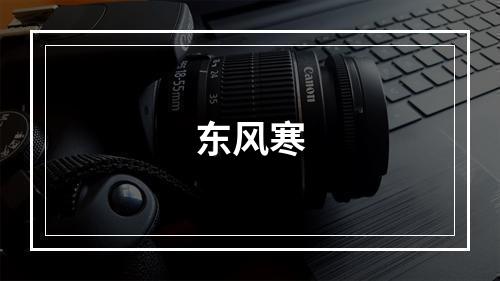 东风寒