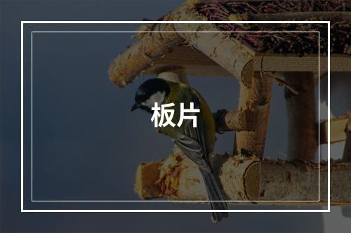 板片