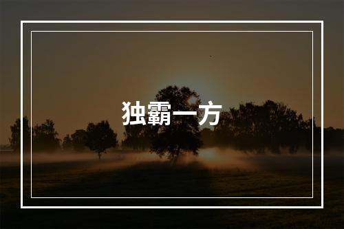 独霸一方