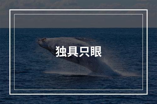独具只眼