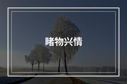 睹物兴情