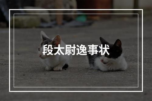 段太尉逸事状