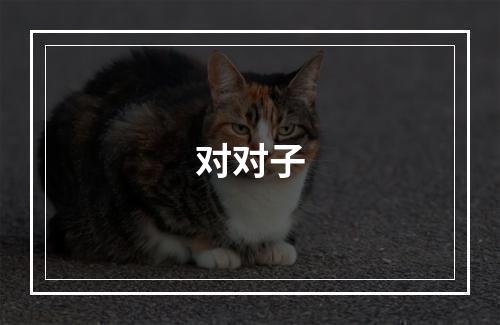 对对子