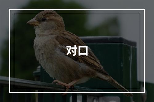 对口