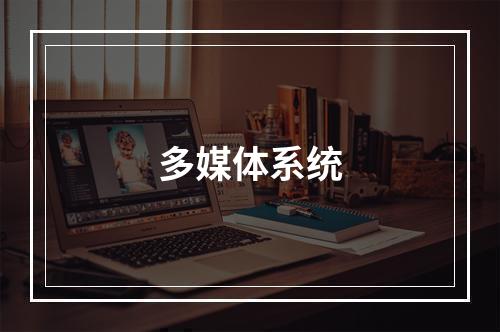 多媒体系统