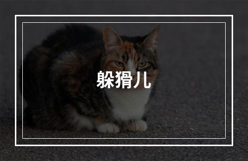 躲猾儿
