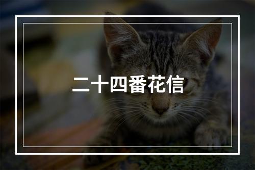 二十四番花信