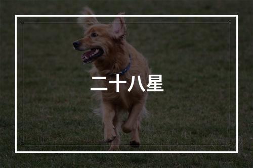 二十八星