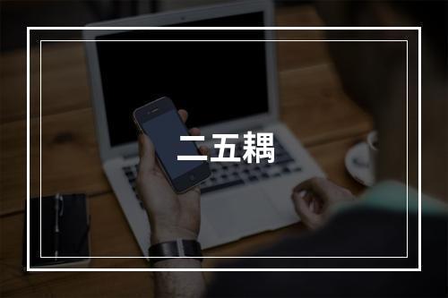 二五耦