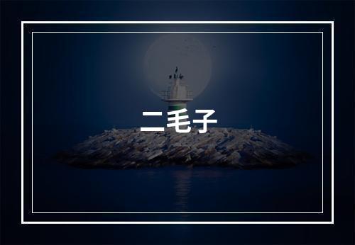 二毛子