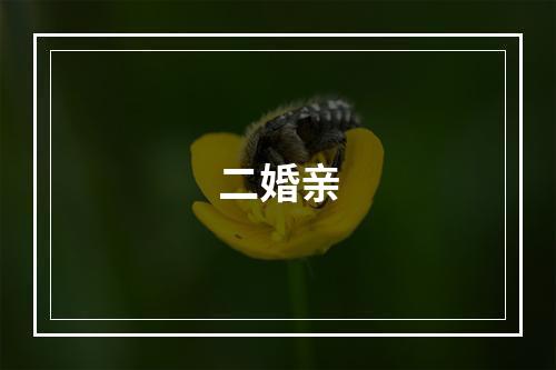 二婚亲