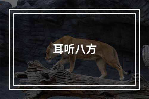 耳听八方