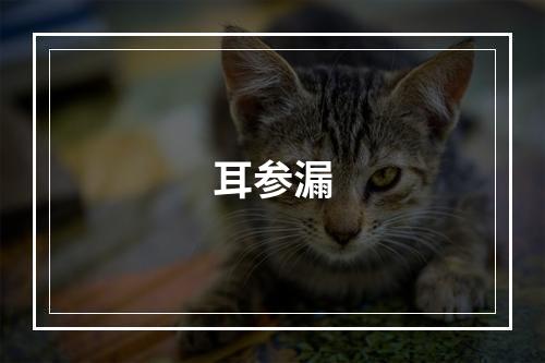 耳参漏