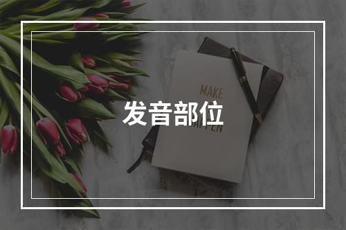 发音部位