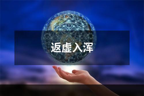 返虚入浑