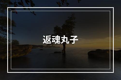返魂丸子