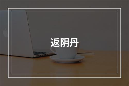 返阴丹