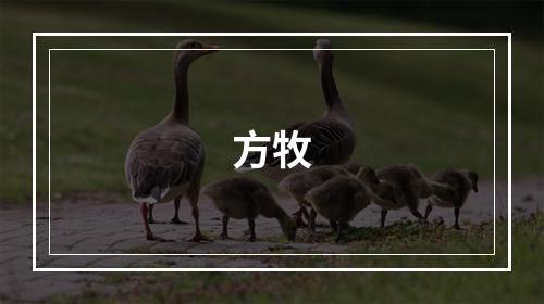 方牧