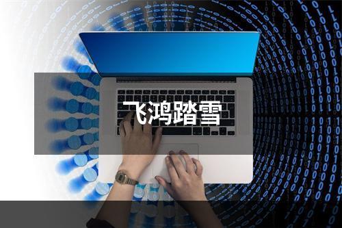 飞鸿踏雪