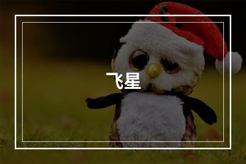 飞星
