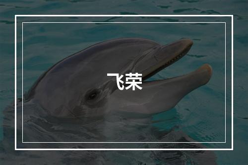 飞荣