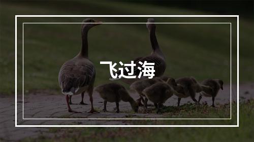 飞过海