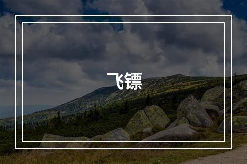 飞镖