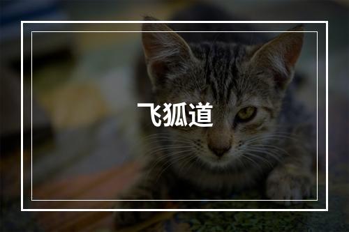 飞狐道