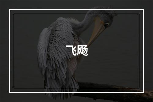 飞飏