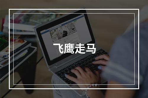 飞鹰走马