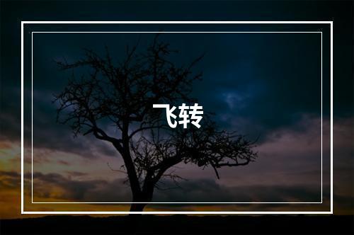 飞转