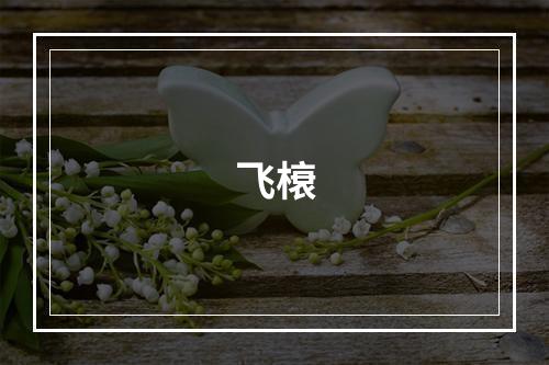 飞榱