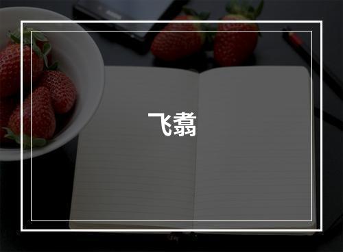 飞翥