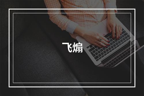 飞煽