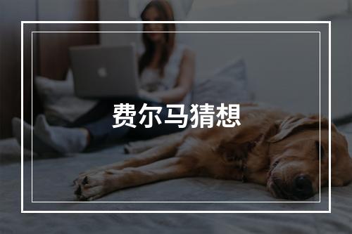费尔马猜想