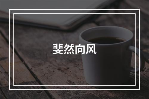 斐然向风