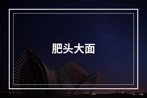 肥头大面