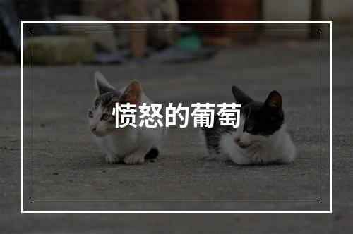 愤怒的葡萄