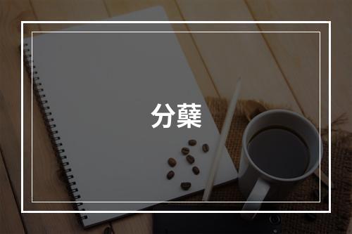 分蘖