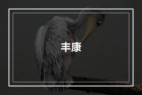 丰康