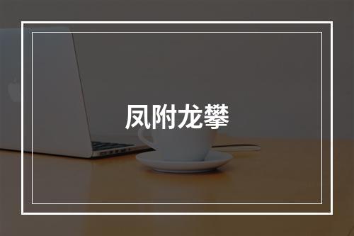 凤附龙攀